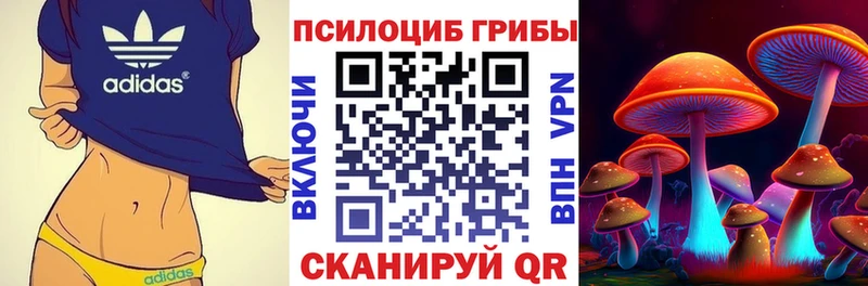 Галлюциногенные грибы прущие грибы Высоцк