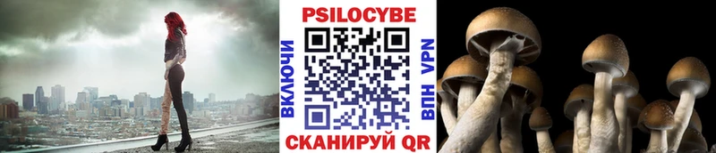 Галлюциногенные грибы мухоморы  Высоцк 